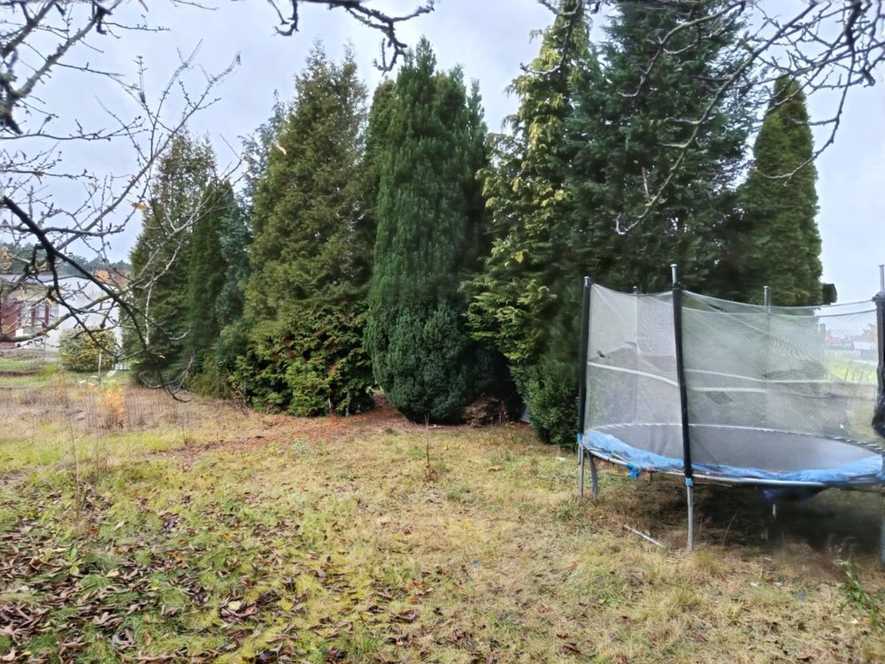 Działka rod Jagodowo osada leśna. Zdjęcie 3