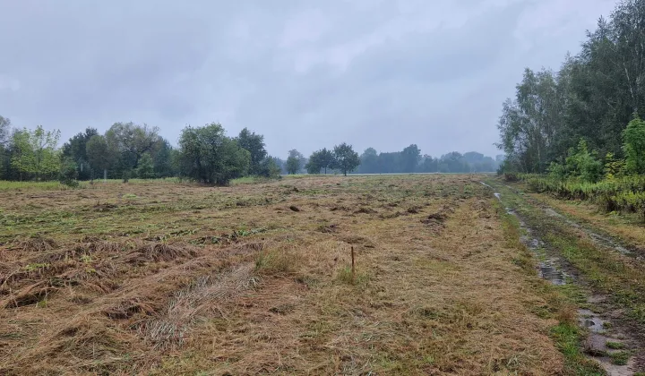 Działka rolna Secymin Polski