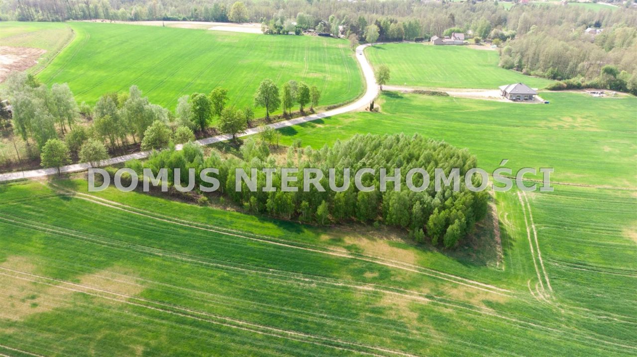 Działka budowlana Olsza. Zdjęcie 4