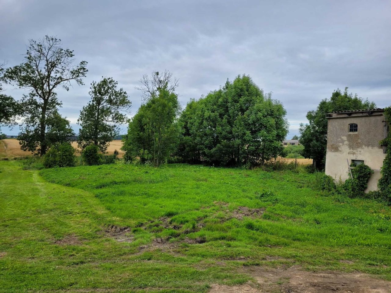 siedlisko Łęgowo. Zdjęcie 7