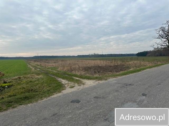 Działka rolna Osiek. Zdjęcie 4