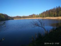 Działka rekreacyjna Zawidów. Zdjęcie 2