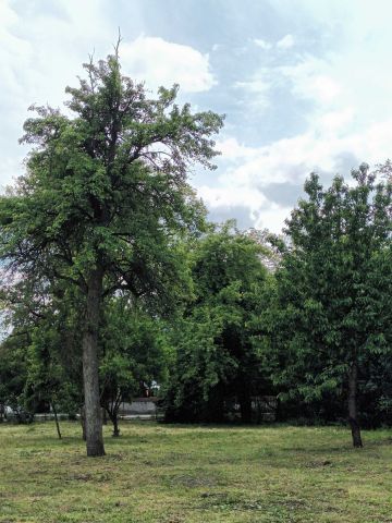 Działka budowlana Kaszewice. Zdjęcie 1