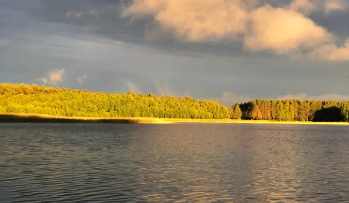 Działka rolna Huta Wielka