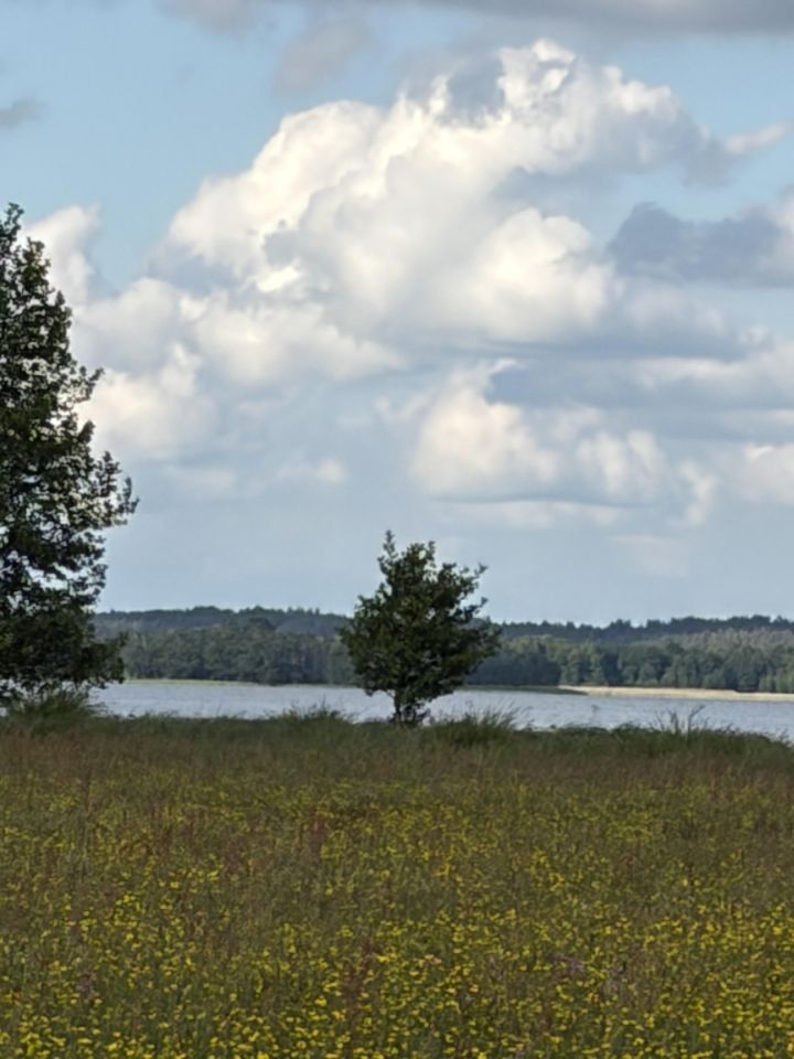 Działka rolna Kruszyn. Zdjęcie 12