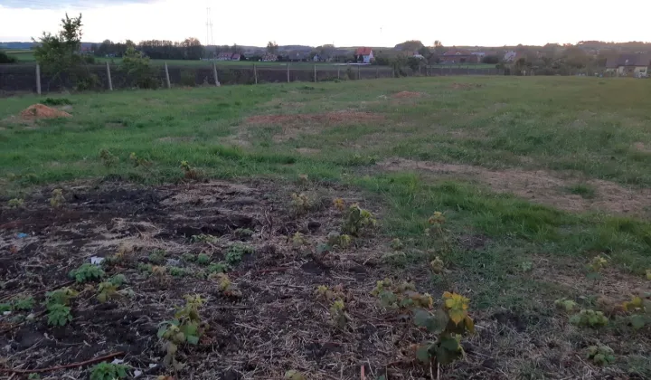 Działka budowlana Ruszowice, ul. Perłowa