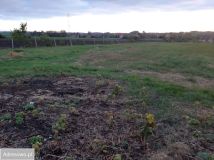 Działka budowlana Ruszowice, ul. Perłowa