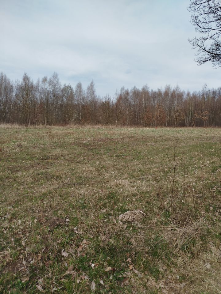 Działka budowlana Jaskrów, ul. Częstochowska 164. Zdjęcie 4