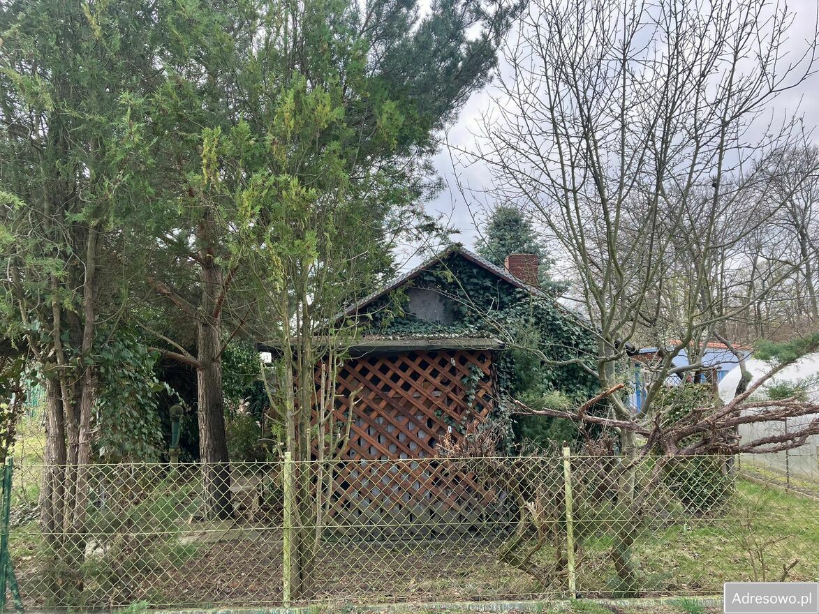 Działka rod Wrocław Pilczyce. Zdjęcie 14