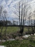 Działka rekreacyjna Krzczeń. Zdjęcie 2