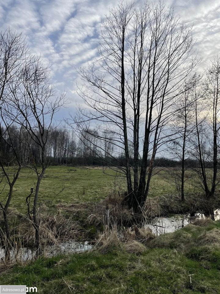 Działka rekreacyjna Krzczeń. Zdjęcie 3