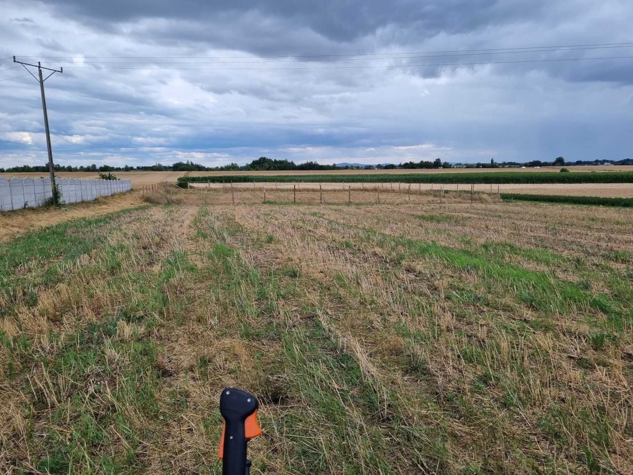 Działka budowlana Kalinowa. Zdjęcie 4