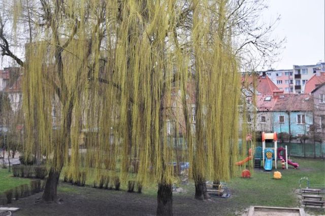 Mieszkanie 2-pokojowe Elbląg Centrum, ul. Kosynierów Gdyńskich. Zdjęcie 14