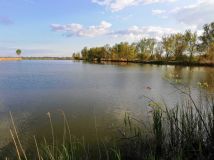 Działka rolna Dębina. Zdjęcie 1