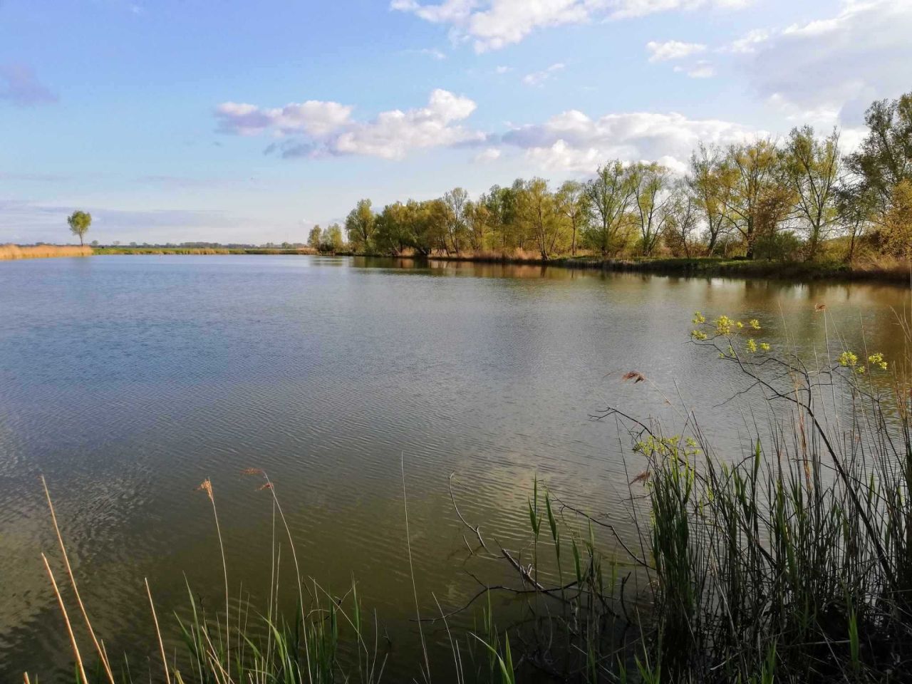 Działka rolna Dębina. Zdjęcie 2