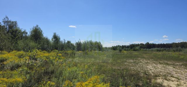 Działka budowlana Żółwin. Zdjęcie 1