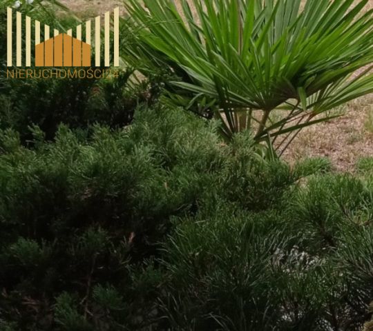 Działka budowlana Trzcinka. Zdjęcie 1