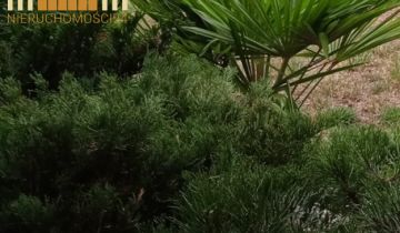 Działka budowlana Trzcinka