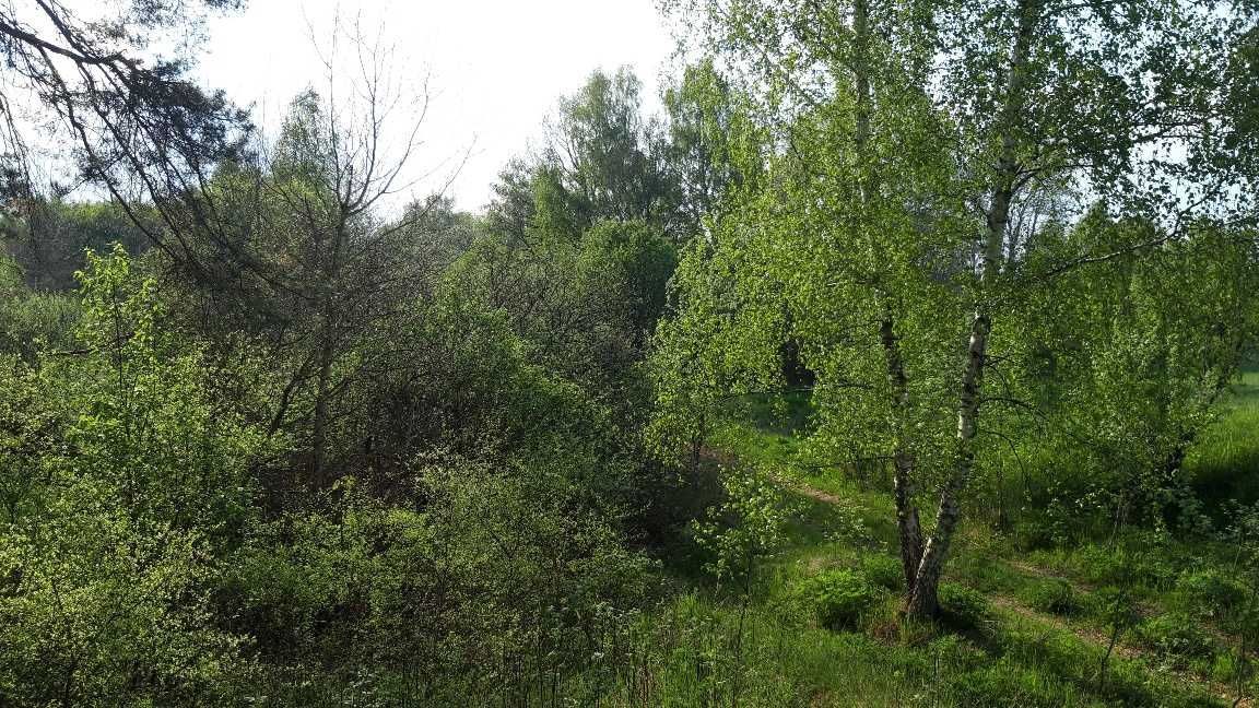 Działka siedliskowa Liszkowo. Zdjęcie 3