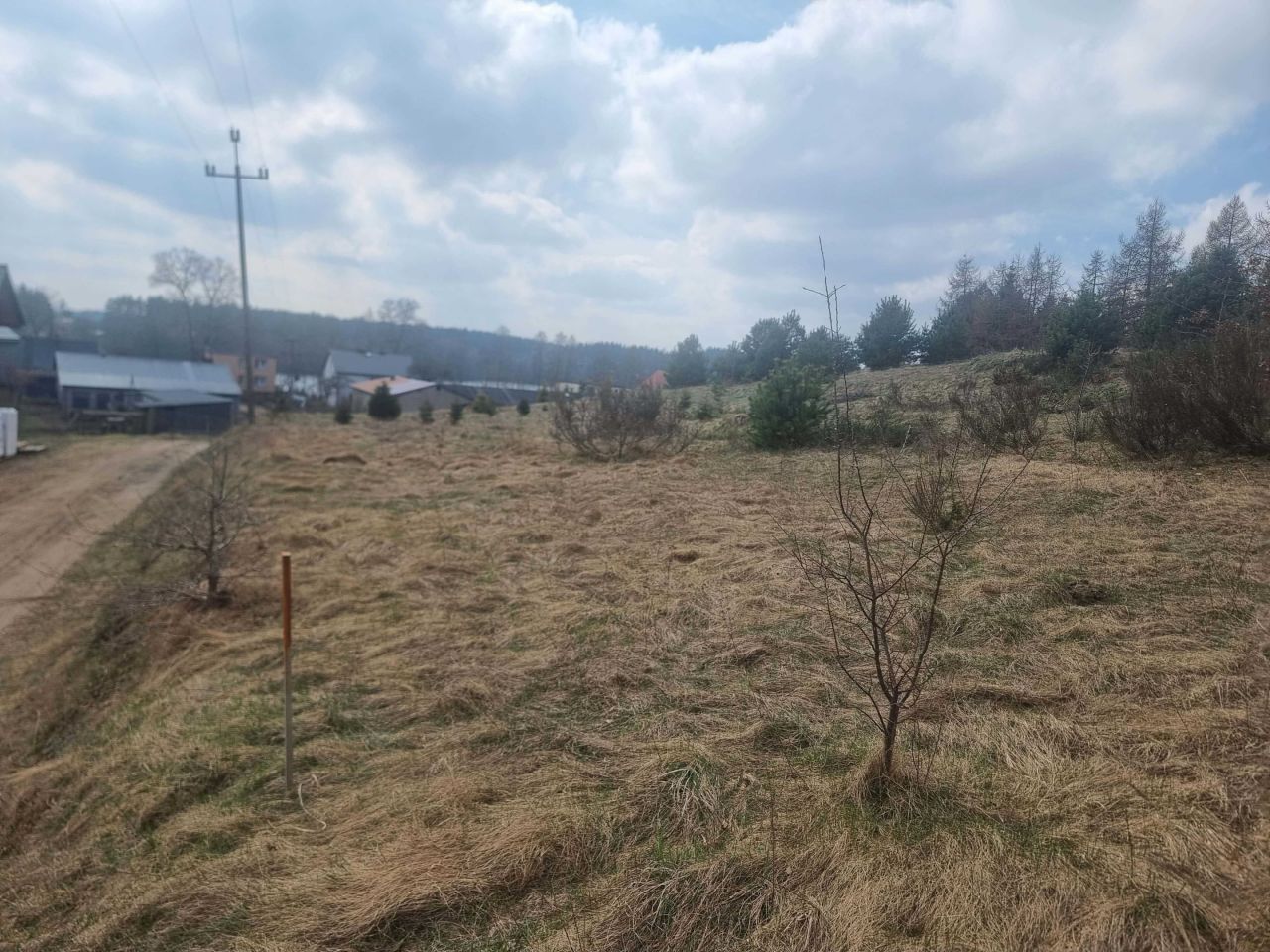 Działka budowlana Borucino. Zdjęcie 4