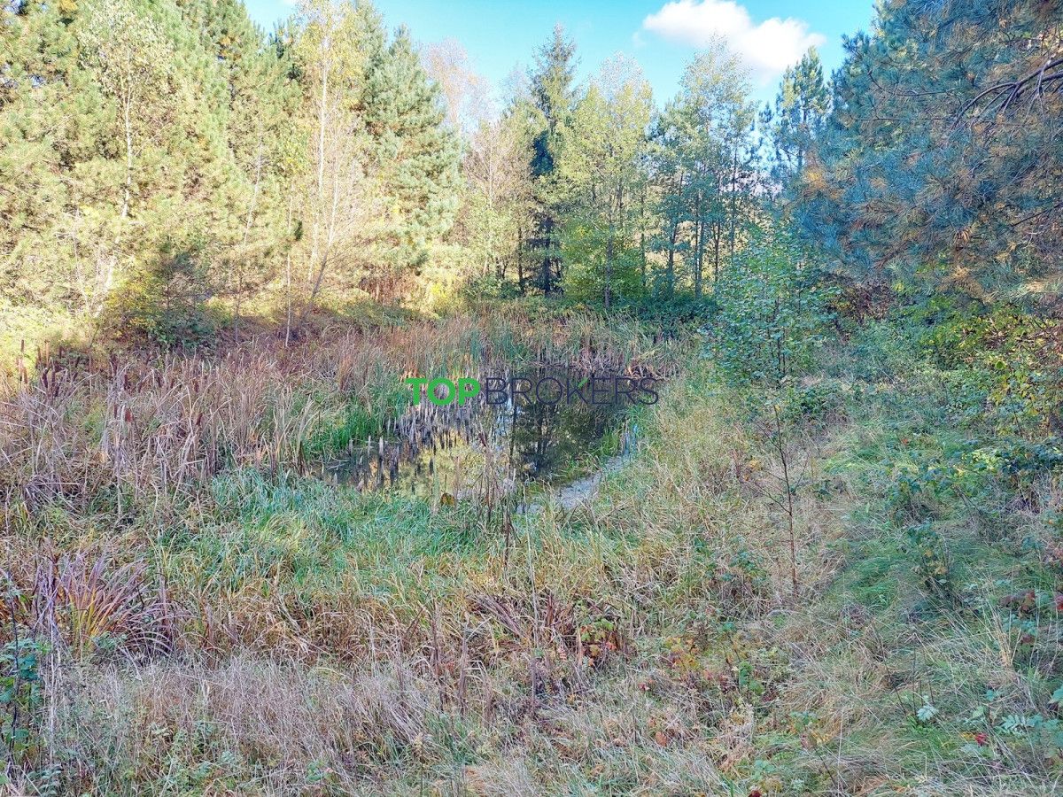 Działka rekreacyjna Dyszobaba. Zdjęcie 14