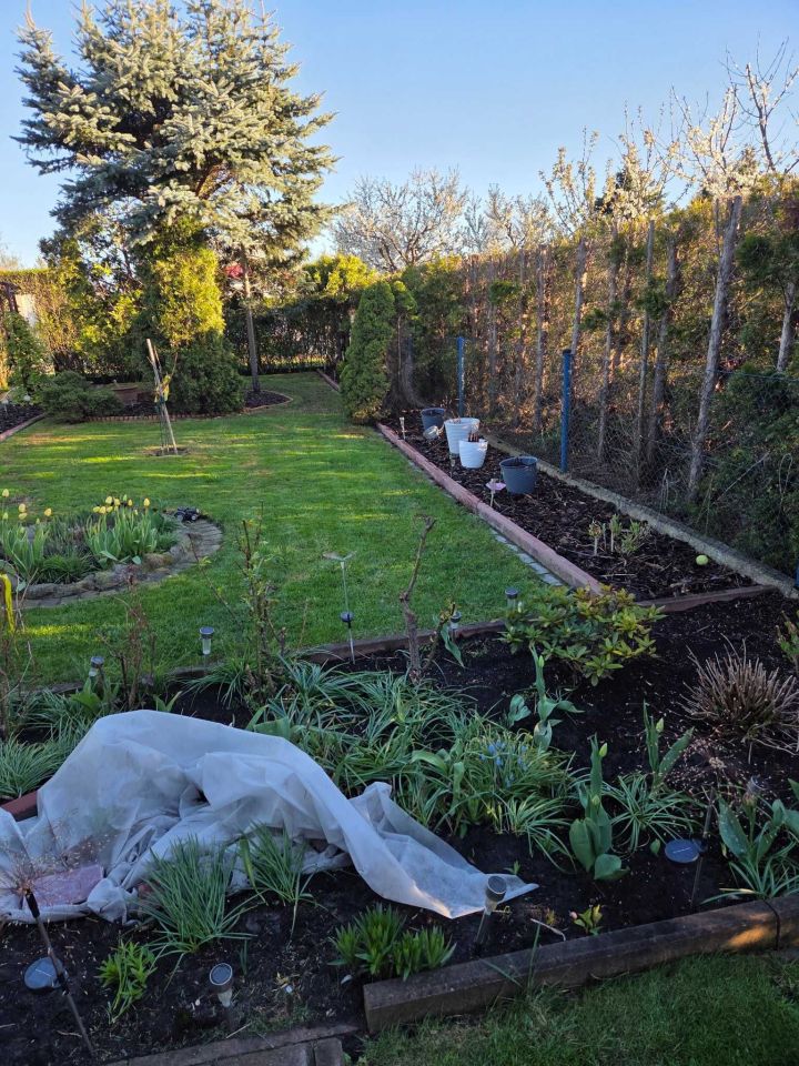 Działka rod Grudziądz. Zdjęcie 6