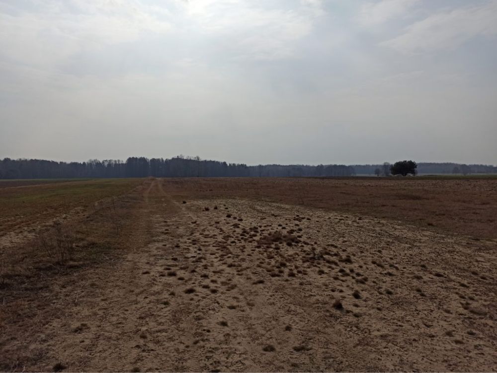 Działka rolna Słupica. Zdjęcie 3