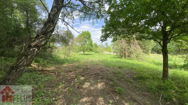 Działka rolno-budowlana Piekary. Zdjęcie 2