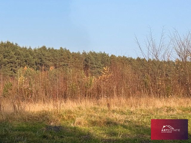 Działka siedliskowa Florentynów. Zdjęcie 4