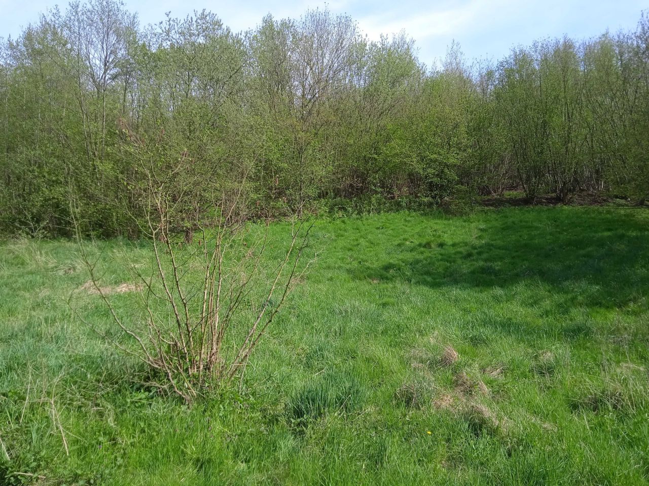 Działka budowlana Gierałtowiec. Zdjęcie 4