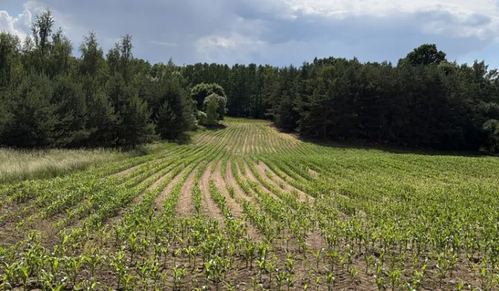 Działka budowlana Starorypin Rządowy