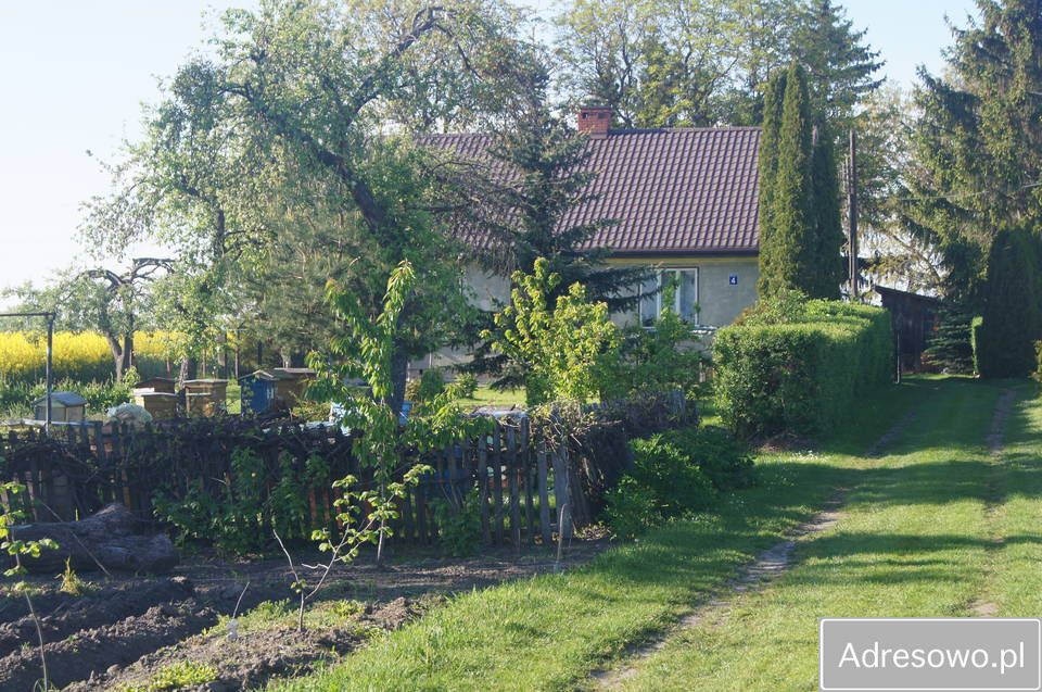 siedlisko Dołhobyczów. Zdjęcie 6