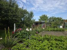 Działka rod Kołobrzeg, ul. Bolesława Krzywoustego. Zdjęcie 1