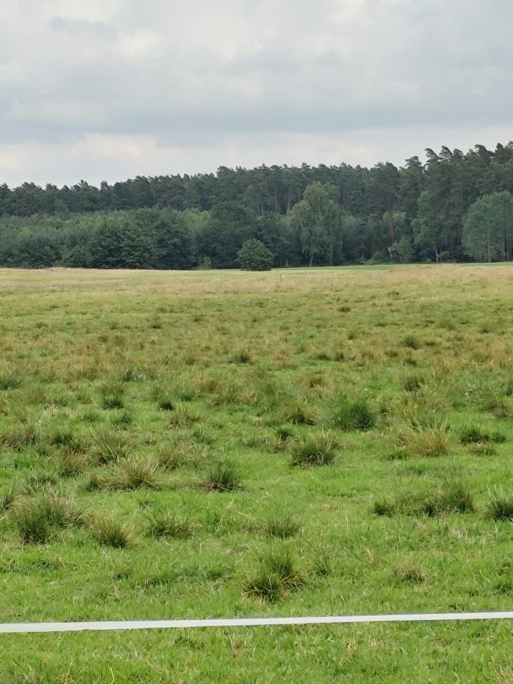 Działka siedliskowa Kęsza. Zdjęcie 3