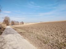 Działka rolna Piotrkowice Małe Kresy. Zdjęcie 2