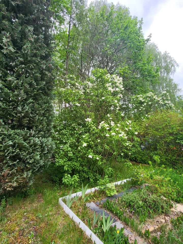 Działka rod Katowice Dąbrówka Mała, ul. Strzelców Bytomskich. Zdjęcie 2