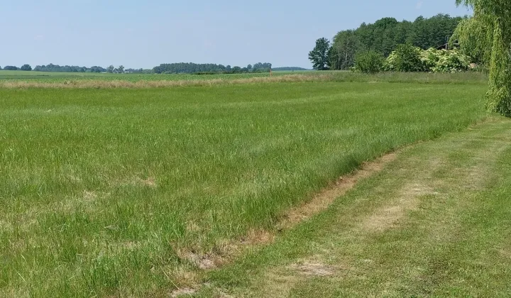 Działka budowlana Mikołajowa