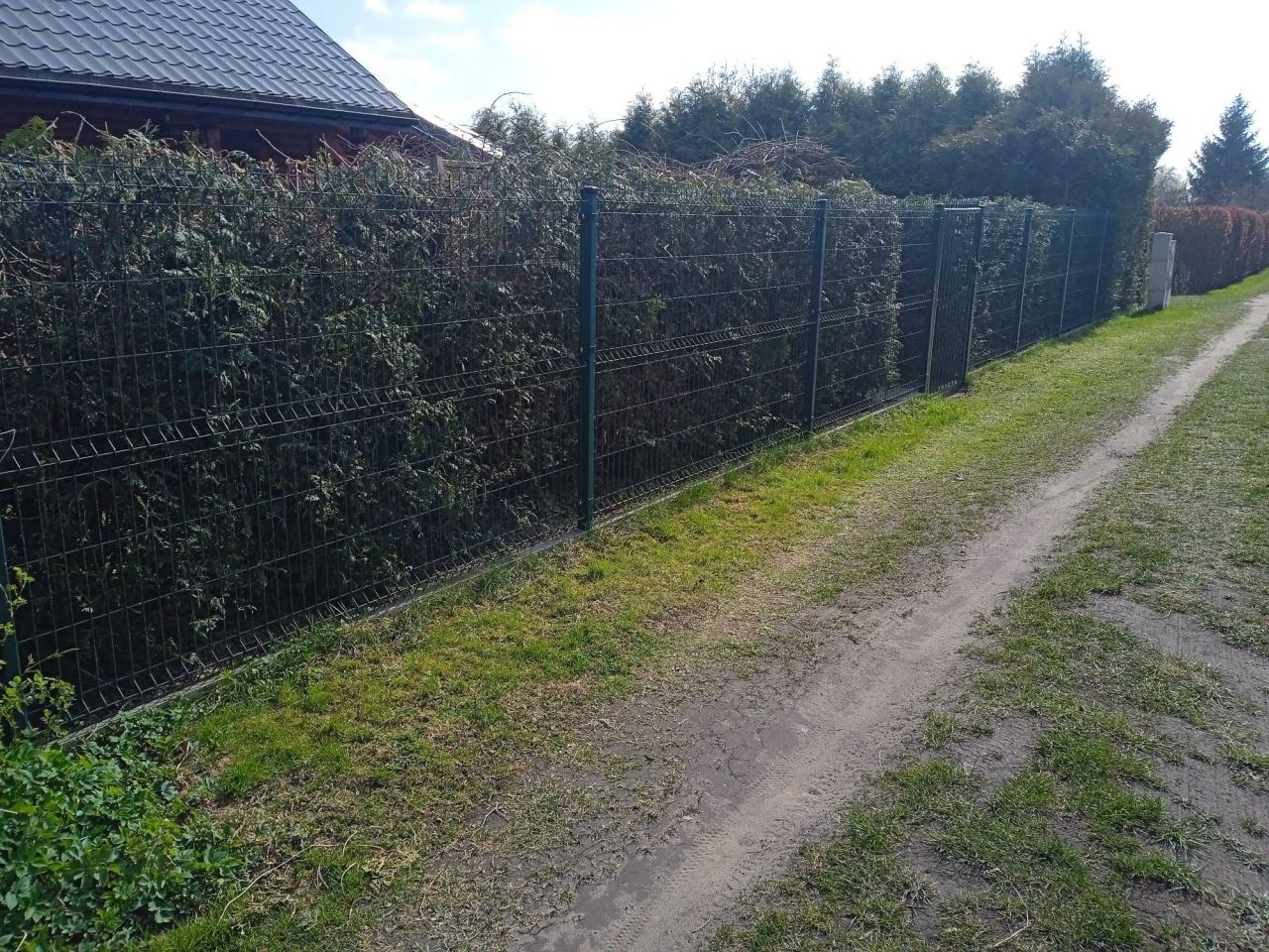 Działka rod Pisz, ul. Pionierów. Zdjęcie 3