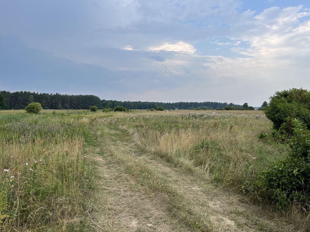 Działka rolna Jarnice. Zdjęcie 5
