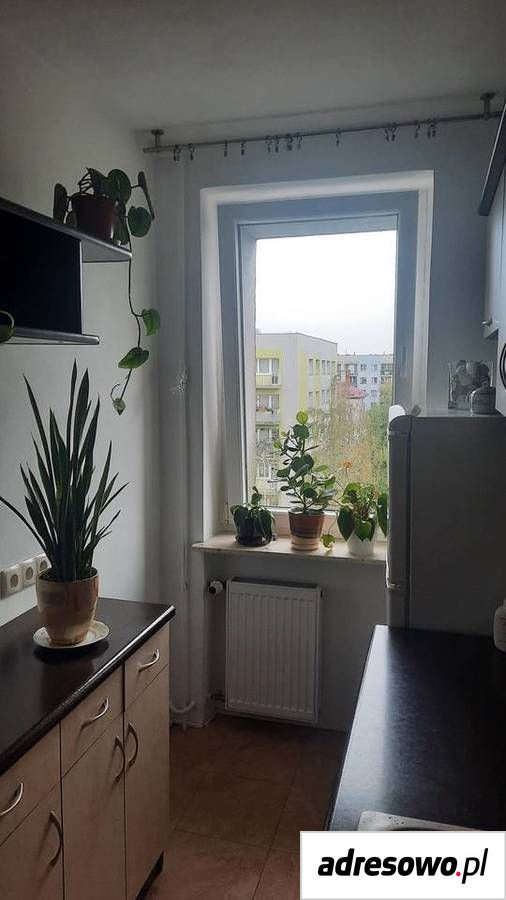 Mieszkanie 2-pokojowe Będzin, ul. dr. Tadeusza Kosibowicza. Zdjęcie 7