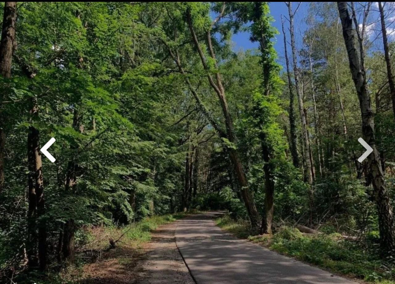 Działka budowlana Świbinki. Zdjęcie 4