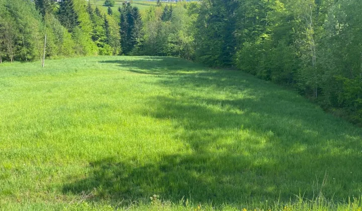 Działka budowlana Cieniawa