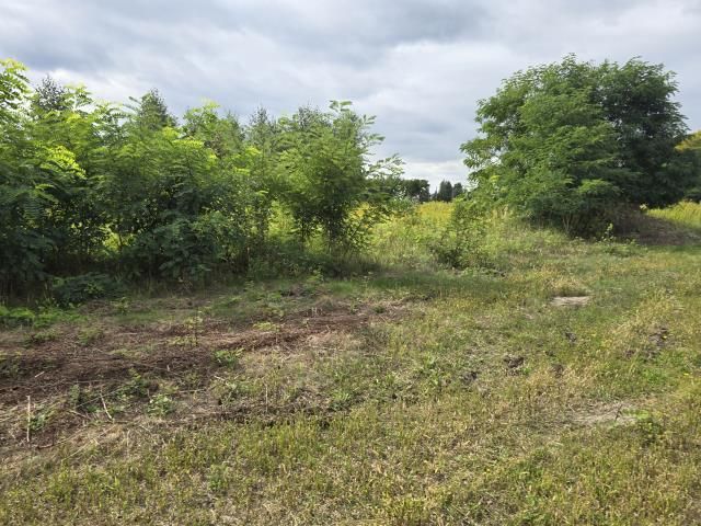 Działka budowlana Duczki, ul. Szosa Jadowska. Zdjęcie 4