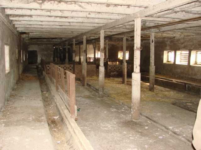 Działka budowlana Borów Wielki. Zdjęcie 2