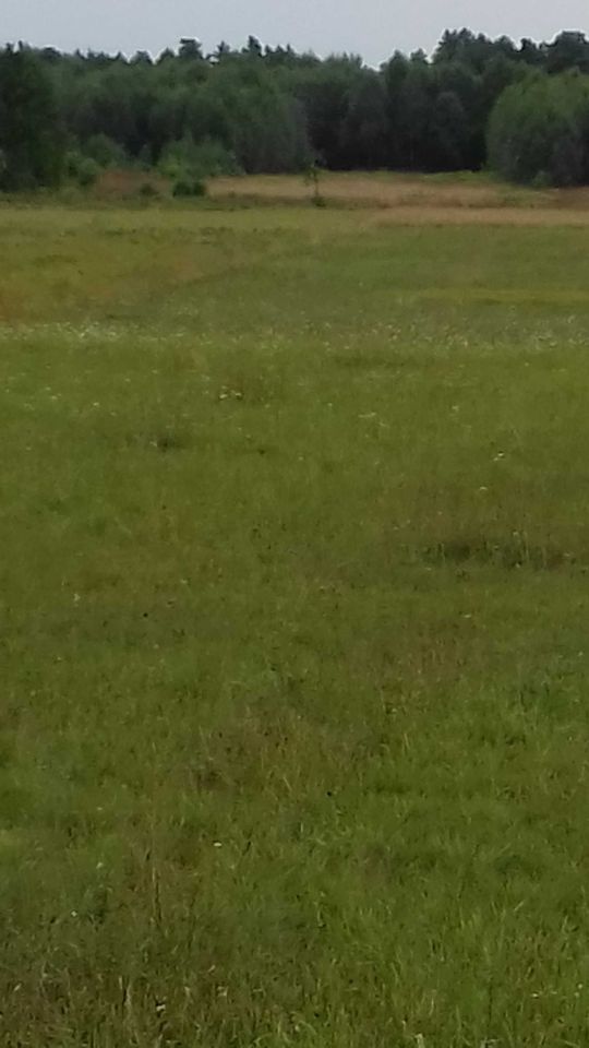 Działka siedliskowa Wierzchowisko. Zdjęcie 2