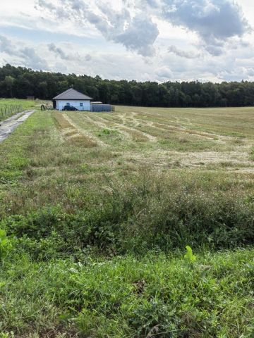 Działka budowlana Janów. Zdjęcie 1