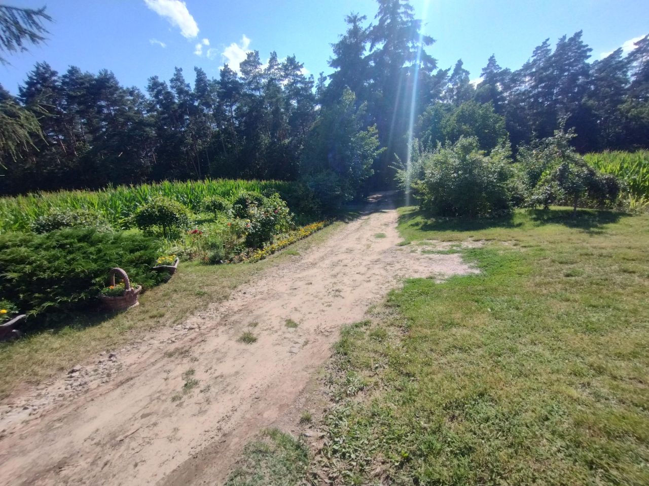 dom wolnostojący, 3 pokoje Świesz. Zdjęcie 11