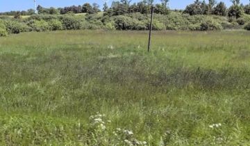 Działka budowlana Maszewko