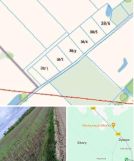 Działka budowlana Dębiany. Zdjęcie 1