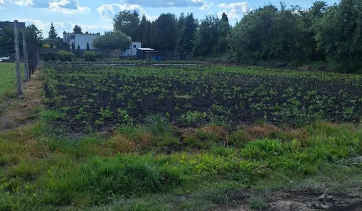 Działka budowlana Rokietnica, ul. Przyjemna